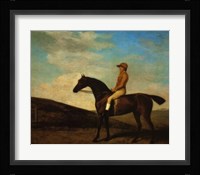 Rosaletta Fine Art Print