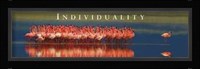 Individuality - Flamingos Fine Art Print