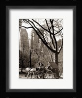 Central Park Carriage Fine Art Print