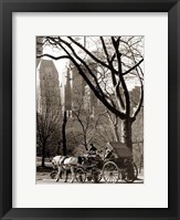 Central Park Carriage Fine Art Print