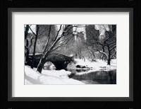 Central Park Bridge Fine Art Print