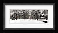 Central Park, Poet's Lane Fine Art Print