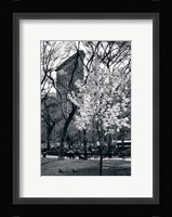 Flatiron Spring Fine Art Print