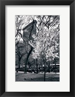 Flatiron Spring Fine Art Print
