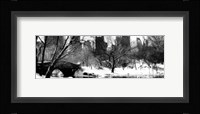 Love Bridge in Central Park, Winter Pano Fine Art Print