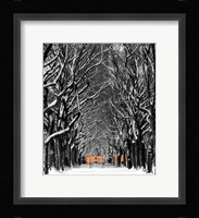 Gates Tree Path, Central Park Fine Art Print