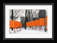 Gates By Christo, Central Park Fine Art Print