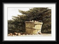 Apple Basket Fine Art Print