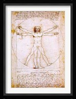 Human Proportions-Vitruvian Man Fine Art Print