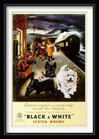 Scottie Fine Art Print