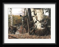 Autumn's Majesty Fine Art Print