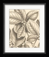 Tropical Connection I Fine Art Print