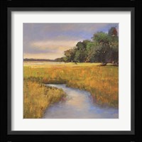Low Country Landscape II Framed Print