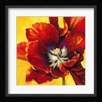 Tiare II Fine Art Print