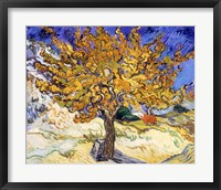 The Mulberry Tree in Autumn, c.1889 Fine Art Print