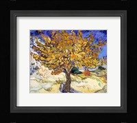 The Mulberry Tree in Autumn, c.1889 Fine Art Print