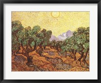 The Olive Trees, c.1889 Fine Art Print