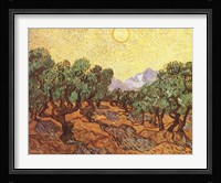 The Olive Trees, c.1889 Framed Print