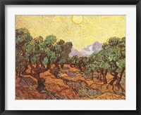 The Olive Trees, c.1889 Framed Print