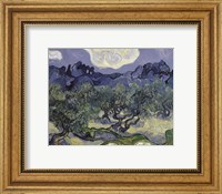 The Olive Trees, 1889 Fine Art Print