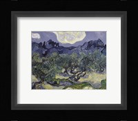 The Olive Trees, 1889 Fine Art Print