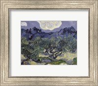 The Olive Trees, 1889 Fine Art Print