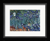 Irises in the Garden, Saint-Remy, c.1889 Fine Art Print