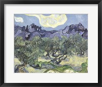 The Olive Trees, c.1889 (blue & green) Fine Art Print