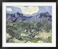 The Olive Trees, c.1889 (blue & green) Framed Print