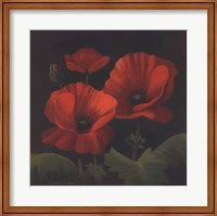 Vibrant Red Poppies I Fine Art Print