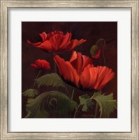 Vibrant Red Poppies II Fine Art Print