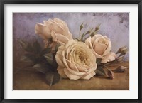 The Beauty of Sasha Fine Art Print