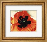 Poppy, 1927 Fine Art Print