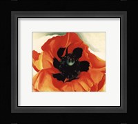 Poppy, 1927 Framed Print