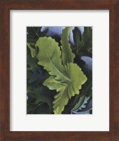 Green Oak Leaves Fine Art Print