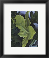 Green Oak Leaves Fine Art Print