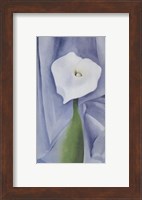 Calla Lily on Grey, 1928 Fine Art Print