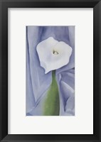 Calla Lily on Grey, 1928 Fine Art Print