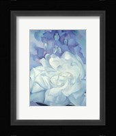 White Rose with Larkspur No. 2, 1927 Fine Art Print