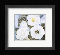 Jimson Weed, 1935 Fine Art Print