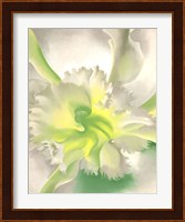 An Orchid Fine Art Print