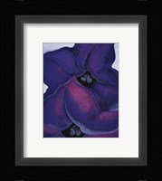 Purple Petunias, 1925 Fine Art Print