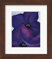 Purple Petunias, 1925 Fine Art Print