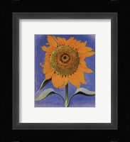 Sunflower, New Mexico, 1935 Fine Art Print