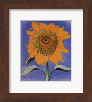 Sunflower, New Mexico, 1935 Fine Art Print