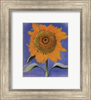Sunflower, New Mexico, 1935 Fine Art Print