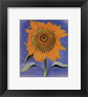 Sunflower, New Mexico, 1935 Fine Art Print