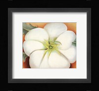 White Flower on Red Earth, No. 1 Fine Art Print