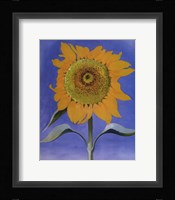 Sunflower, New Mexico, 1935 Fine Art Print