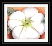 White Flower on Red Earth, No. 1 Fine Art Print